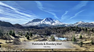 Hiking Hummocks to Boundary West to Johnston Ridge Observatory MSH [upl. by Agbogla764]