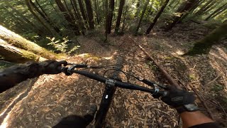 Aptos MTB  Had a few “Oh shit” moments on this trail  Turbo Levo 92824 [upl. by Carvey23]