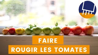 Comment faire rougir les tomates [upl. by Theodora]