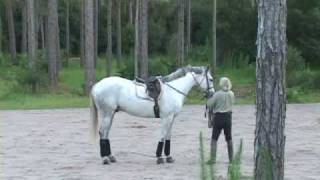 Chazot and Jean Luc Cornille Lunging [upl. by Orravan]