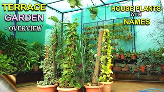 TERRACE GARDEN OVERVIEW AUGUST 2021 – HOUSE PLANTS TOUR BY GARDEN TIPS [upl. by Alliehs814]