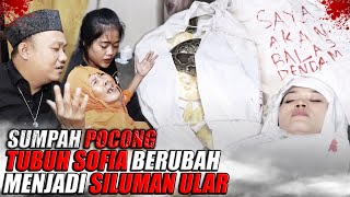 DETIK2 AKHIR KISAH SHOFIA SANG PESUGIHAN ULAR YG DISUMPAH POCONG MENJADI ULAR  ULAR keramik [upl. by Enellij]