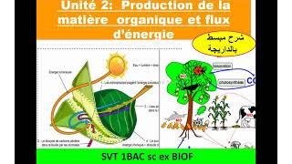 Production de la matiére organique svt 1 Bac sc ex Biof unité 2 شرح بالداريجة [upl. by Ferd]