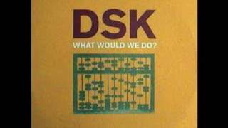 DSK  What Would We Do [upl. by Bracci]