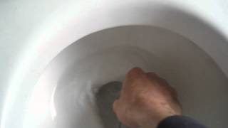 Improving flush of a slowflush toilet [upl. by Halilahk]