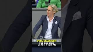 Dr Alice Weidel kritisiert die Opposition im Parlament [upl. by Ahsemac]