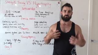 Hypertrophy vs Strength Training [upl. by Sherry]