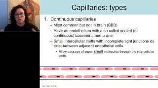 BIO 272 Blood vessels Arteries veins and capillaries [upl. by Iaht]