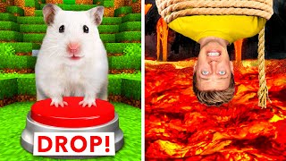 Hamster Maze vs Human Traps 🐹 World’s Most Extreme Elimination Game Last To Survive Minecraft Wins [upl. by Bush]