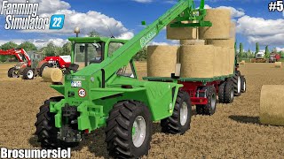 BROSUMERSIEL HARVESTING WHEAT amp COLLECTING STRAW BALES SELLING MILK│BROSUMERSIEL 22│FS22│5 [upl. by Anerac]