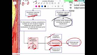 Peripheral vascular disease part 3  باطنية [upl. by Aikin]