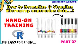 What is Normalization amp HOW it is Performed  HandOn Training  Theory  Practicle [upl. by Laughton]