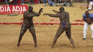 Combat Balla Gaye 2 vs Tapha Tine  reportage Lamine Seck Tapha Gueye Palla et Mansour Diop [upl. by Ahseinar]