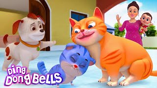 म्याऊं म्याऊं बिल्ली करती  Meow Meow Billi Karti v2  Hindi Rhymes for Children  Ding Dong Bells [upl. by Eanil]