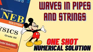 Waves in Pipes and Strings Class 12 NEB Past year Numerical Solutions in One Shot [upl. by Gelb]