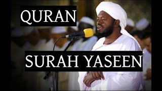 Shaykh Noreen Mohammed  SURAH YASEEN [upl. by Coffin]