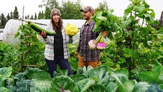 Harvesting Huge Vegetables from Our Summer Garden [upl. by Eelir]