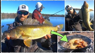 Fishing SUPER Shallow Fall Walleyes on Flowages  CATCH and COOK [upl. by Shea883]