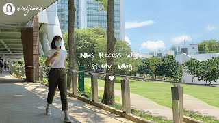 新加坡留學生活  跟我一起度過國立大學假期 quot真實到不敢看quot  Study With Me  NUS Recess Week  Expectations VS Reality [upl. by Veator738]