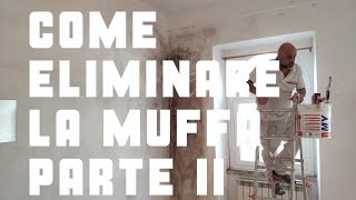 Come eliminare la muffa dai muri Risultato finale [upl. by Cloe]