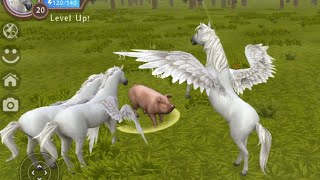 Wildcraft  play as Horse [upl. by Mays]