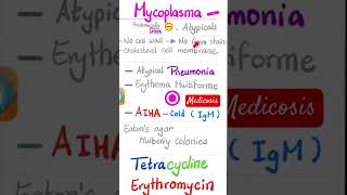 Mycoplasma Pneumoniae  Bacterial pneumonia  Microbiology 🧫 science biology doctor nurse [upl. by Kathy]