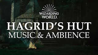 Hagrids Hut  Harry Potter Music amp Ambience  Rain and Night Sounds Near the Forbidden Forest [upl. by Oulman318]