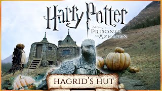 Hagrids Hut ASMR Hogwarts in Autumn 🍁Harry Potter 3 inspired Ambience 🍂🎃 Pumpkins Falling leaves [upl. by Cristin]