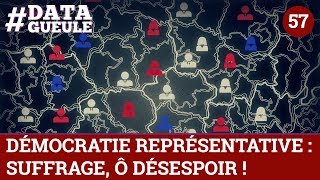 Démocratie représentative  suffrage Ô désespoir  DATAGUEULE 57 [upl. by Lupiv39]