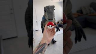 Raptor Guesses The Pokémon 🦖 [upl. by Enidualc908]