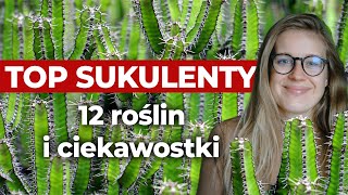 🌵 Top sukulenty  12 perełek  Flora Point [upl. by Assenat58]