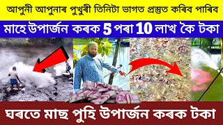 উপাৰ্জন মাহে 5 পৰা 10 লাখ টকা  New Business Ideas 2023  Fish Farming Ideas🐋🐟 Fish Business Ideas [upl. by Engamrahc641]