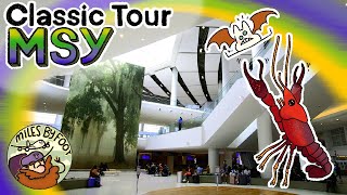 Getting Around New Orleans International Airport MSY  Full Airport Guide and Tour [upl. by Mitchell]