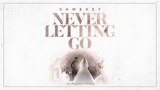 יעקב שוואקי Yaakov Shwekey  Never Letting Go [upl. by Jaquenette105]