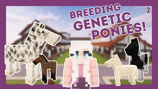 Breeding more genetic ponies Minecraft [upl. by Uttica942]