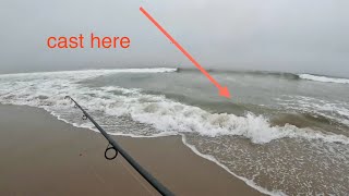 Easiest Way to Catch Fish At The Beach  SoCal Surf Fishing [upl. by Ytoc533]