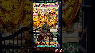 Baikuntha Chaturdashi  Tribikrama Besha  Tike Hasidia He Jagannatha  SNo  354 [upl. by Llenehc520]