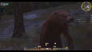 Lotro legendary 64b fearless Red Loremaster SSF Pt 4 [upl. by Ahcas]