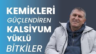 KEMİKLERE İYİ GELEN KEMİKLERİ BESLEYEN GÜÇLENDİREN VİTAMİNLER BESİNLER YİYECEKLER [upl. by Adirem]