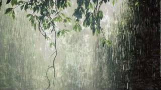 Anandamritakarshini Sreevalsan J Menon Monsoon anuraga [upl. by Zebulen]