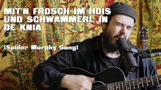 MITN FROSCH IM HOIS UND SCHWAMMERL IN DE KNIA Spider Murphy Gang [upl. by Anitsrihc]