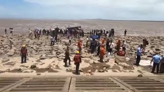 Douze baleines retrouvées échouées sur une plage de lest de la Chine [upl. by Airamalegna]