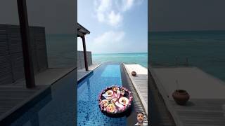 Santorini greece resorts  Santorini greece hotels shorts short hotel luxury greece europe [upl. by Rusticus122]