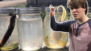 I left fishing Lures in a jar for a FULL YEAR [upl. by Adnalram]