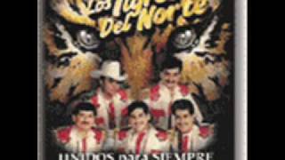 Los Tigres del Norte  Alla Nos Juntamos [upl. by Norok434]