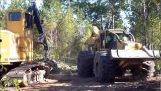 Tigercat 630C Skidder Pulling Wood [upl. by Gussy]