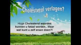 Cholesterol Verlagen [upl. by Cirad]