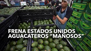 Frena EU aguacateros “mañosos” [upl. by Oidacra719]