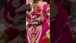 Jis ki Kalai tham li usko kesa dar 🙏🌹🌹🌹🥰🥰shyam bhajankhatushyam bhakti song [upl. by Eenwat]