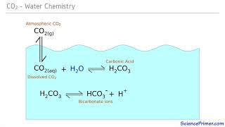 Carbonate Buffering [upl. by Isla]